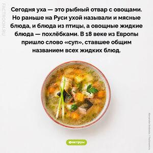 Мясная уха