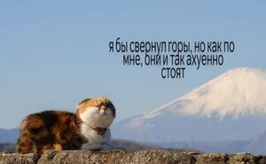 Готовьтесь к взрыву смеха! Свежие мемы на выходные