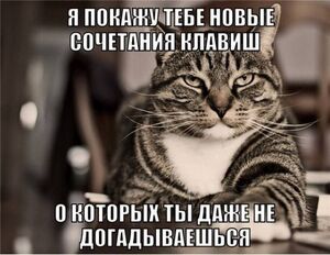Выходные зовут к веселью!