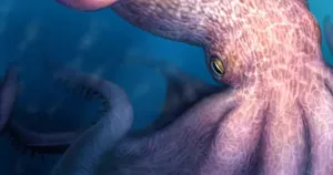 Настоящий кракен мелового периода дробил кости морским рептилиям и был размером с автобус