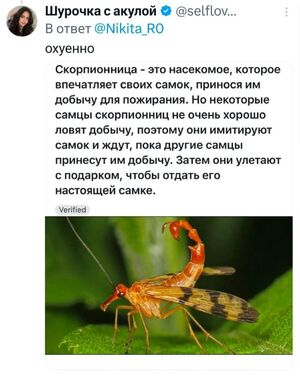 Свежие шутки из интернета – прямо в мемах и комментариях!