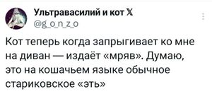 Свежие шутки из интернета – прямо в мемах и комментариях!