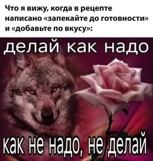 Только что из сети: ваш новый заряд хорошего настроения! ✨