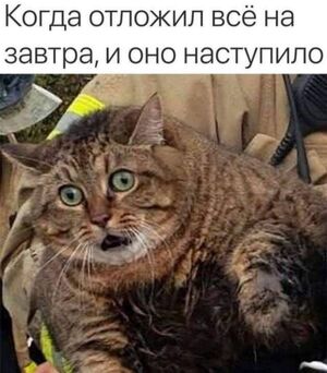 Пятница! Время для улыбок и позитива!