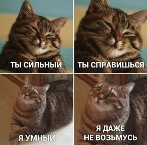 Пятница! Время для мемов и отличного настроения!