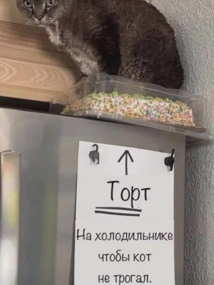 Ура, выходные! 