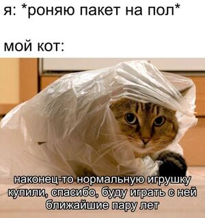 Понедельник – не повод для грусти! Заряжаемся позитивом с новым сборником юмора!
