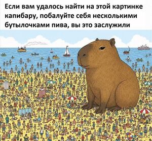 Улыбка гарантирована! 