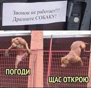 Мемы, шутки и приколы – ваш рецепт хорошего настроения! 