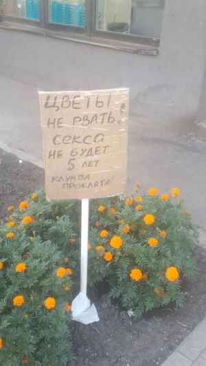 Новый сборник шуток и мемов на середину недели — зарядитесь позитивом!