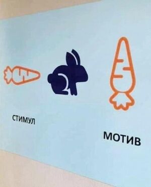 Ура, пятница! 