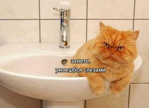 Ура, пятница!