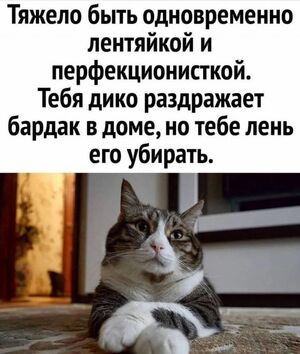 Пятница, ты ли это? Лови порцию мемов, чтобы эта неделя закончилась на самой позитивной ноте!