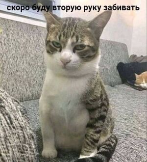 Выходные на позитиве: свежая порция мемов и картинок для вашего отличного настроения!