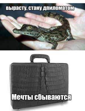 Понедельник? Не беда! Заряжаемся позитивом с убойными шутками и мемами!