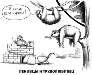 Смех до слез: ваш личный сборник мемов и картинок для идеального настроения!