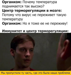 Среда – маленькая пятница! И у нас для вас порция отличного настроения!