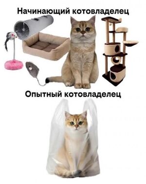 Свежий юмор для вашего настроения!