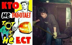 Кто такие «борзые», причем тут тунеядцы и почему творческие личности в СССР работали дворниками