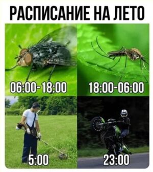 Дзынь — и ты в кроличьей норе — мемы | Bugaga