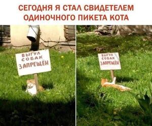 Готовьтесь, будет жарко! 