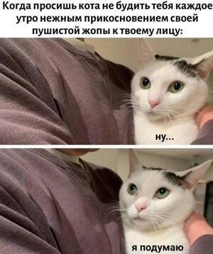Привет, любители посмеяться! 