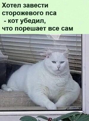 Новый сборник мемов: заряд позитива на весь день!