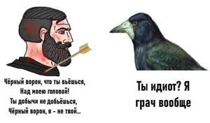 Пятница! Время для смеха и отличного настроения!