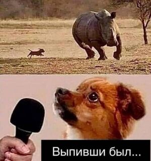 Выходные с улыбкой гарантированы
