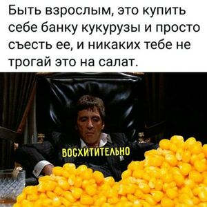 Привет, выходные!