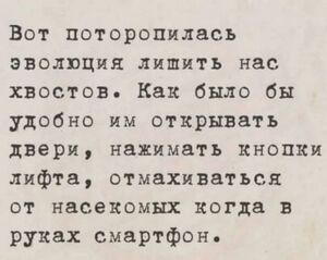 Готовы к порции позитива? Ловите заряд хорошего настроения!