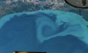 Спутниковые данные раскрыли причину необычного окрашивания Чёрного моря