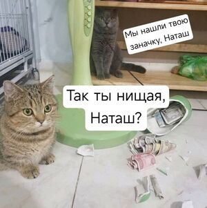 Улыбнись этому дню! Сборник самых смешных мемов и прикольных картинок для твоего позитива!