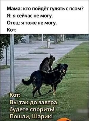 Улыбнись этому дню! Сборник самых смешных мемов и прикольных картинок для твоего позитива!