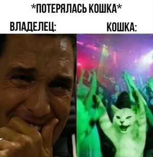 Ура, выходные! 