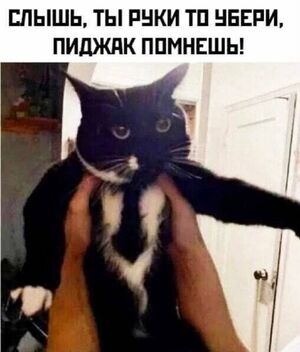 Начните неделю с улыбки! Свежая порция юмора для бодрого старта!
