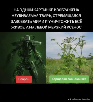 Если настроение не очень — самое время сделать паузу и просто посмеяться.