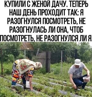 Смех продлевает жизнь! Новый сборник шуток для вашего отличного настроения!
