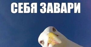 Среда — это маленькая пятница!
