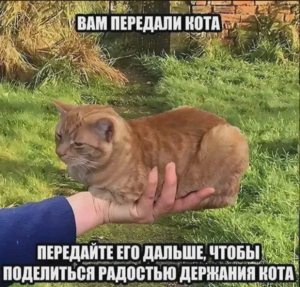 Ура, пятница! 