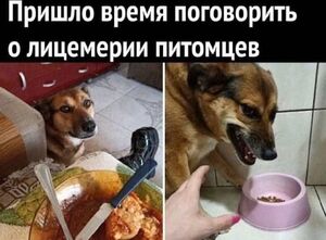 Ваша доза смеха на эти выходные