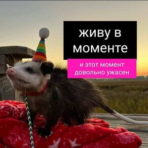 Выходные — это маленькая жизнь, и прожить её нужно с улыбкой! 