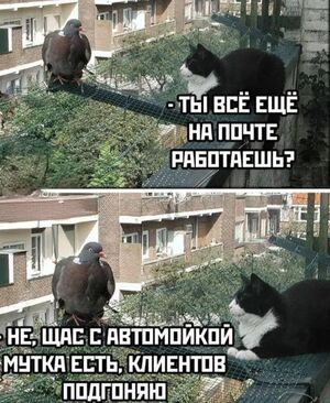 Экватор пройден: заряжаемся позитивом на остаток недели!