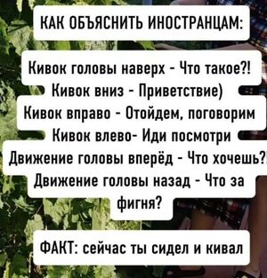 Лучшие шутки для среды: заряжаемся позитивом!