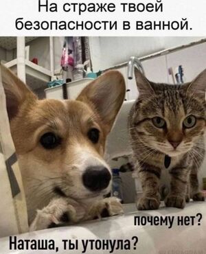 Заряжаемся позитивом на весь день!