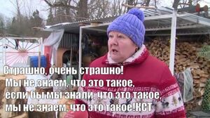 Рубль живет своей жизнью: в ЦБ признались, что перестали понимать логику курса