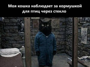 Пятница — время выдохнуть! 