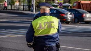 В России могут отменить 28 штрафов для водителей и пешеходов. Какие это нарушения