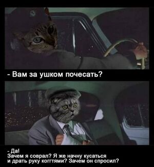 Воскресенье — время выдохнуть! ☕️✨