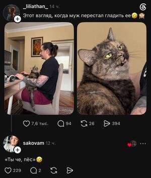 Мемы, над которыми хочется смеяться